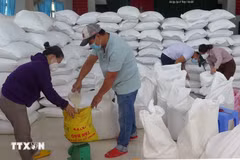  附图 图自越通社