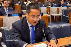 越南常驻联合国代表团副团长阮海流公使代表东盟在联合国大会第四委员会就原子辐射影响发言。图自越通社