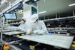 流入越南的外资不仅在规模上增长，而且迅速转向高科技、数据和绿色生产领域。图自越通社