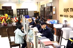 民众和企业在兴安省第四区域税务分局办理行政手续。图自越通社