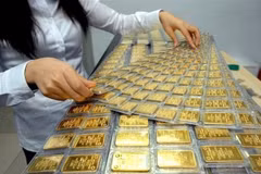 附图 图自越通社