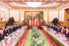越南国家主席梁强与中共中央总书记、国家主席习近平举行会谈。图自越通社