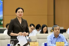 越南祖国阵线中央委员会副主席兼秘书长何氏娥。图自越通社