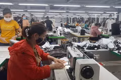 汇丰银行：2024甲辰龙年有望为越南开启更多机遇