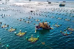 开发海水养殖将是必然的趋势