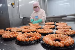 着力提高越南虾类产品的竞争力