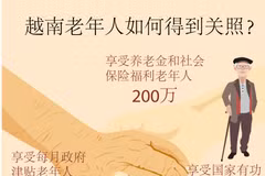 图表新闻：越南老年人如何得到关照？