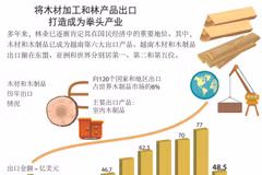 图表新闻： 将木材加工和林产品出口打造成为拳头产业
