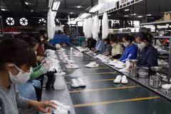 疫情期间越南内资企业出口成为贸易活动的亮点