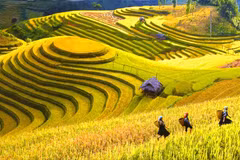提高人民意识 发展西北旅游