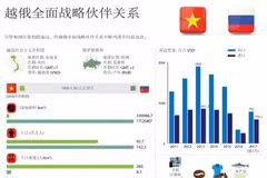 越俄全面战略伙伴关系