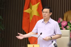 王廷惠副总理：严肃处理伪造越南原产地证的欺诈行为