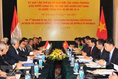 印尼外长：2018年是越印两国关系中的特别之年