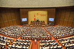 越南第十四届国会第八次会议：分组讨论四部法案