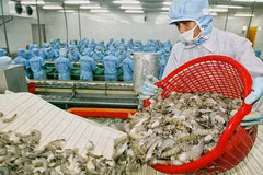 越南虾类对美国出口有望提升