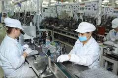 今年前8月胡志明市工业生产指数同比增长7.1% 