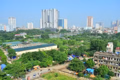 2021-2030年阶段和远期展望至2050年国家林业规划制定任务审查理事会成立