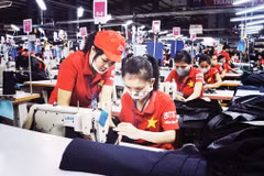 年底胡志明市就业市场呈现出活跃发展态势