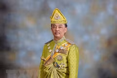 马来西亚国王宣誓就职