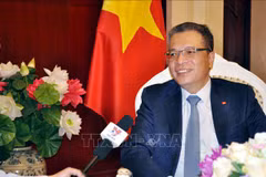 越南副外长邓明魁：越缅深化双方合作关系 紧密携手共同度过难关