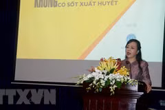 越南卫生部部长：严防登革热疫情蔓延