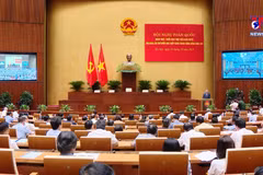 苏林：统一思想和行动 打造国家发展新基础