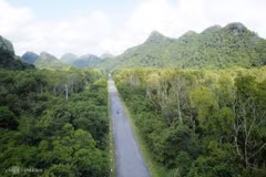 体验吉婆岛原始森林10公里徒步路线