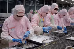 越南货物进出口总额突破7000亿美元的大关