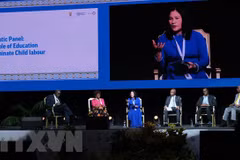 越南代表出席第五届全球消除童工会议 强调教育对消除童工的重要性