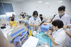 河内市登革热病例增加14.1%