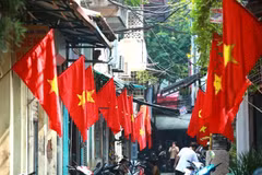 俄媒：越南是东盟的旗帜