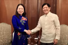 越南国家副主席武氏映春会见菲律宾总统马科斯