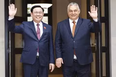 越南国会主席王廷惠会见匈牙利总理欧尔班