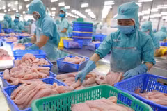 欧洲议会议员扎尔拉尔高度评价越南在地区的作用和地位