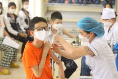 政府8月份例行会议：返校上课儿童接种新冠疫苗的必要性成为媒体关注的焦点