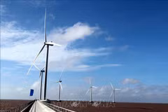 越南工贸部建议全球风能理事会协助越南到2050年实现净零排放目标