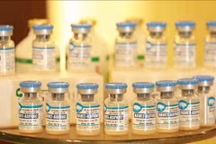 越南预计2022年底大规模使用非洲猪瘟疫苗