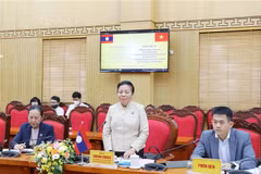 老挝国会代表团访问越南太原省