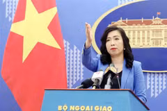 越南外交部例行记者会：IPEF应遵循开放、包容和透明的原则为基础且必须符合国际法