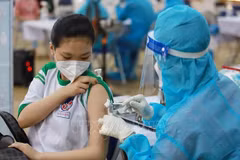 胡志明市：未有根据视新冠病毒为季节性感冒