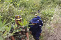 隆安省军事指挥部K73队努力寻找在柬埔寨牺牲的同志遗骸