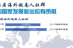 图表新闻：旅居海外越南人社群为国家发展做出应有贡献