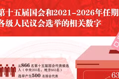 图表新闻：第十五届国会和2021-2026年任期各级人民议会选举的相关数字
