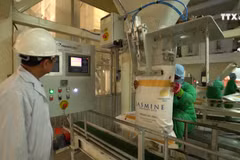 越南优质大米产品得到全球广大消费者的认可