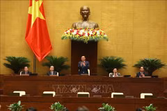 越南第十五届国会第五次会议间隙：立即化解困难 促进经济复苏