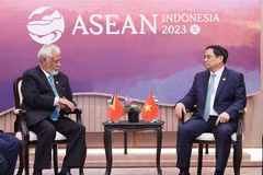 越南政府总理范明政会见东帝汶总理沙纳纳·古斯芒