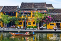 对越南旅游品牌进行定位