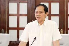 提高领事和公民保护工作的成效