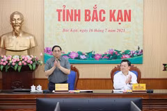 越南政府总理范明政：北件省需要重点发展林业经济 加快工业化现代化建设