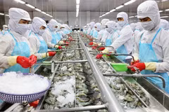 今年前2月越南水产品产量超过118万吨